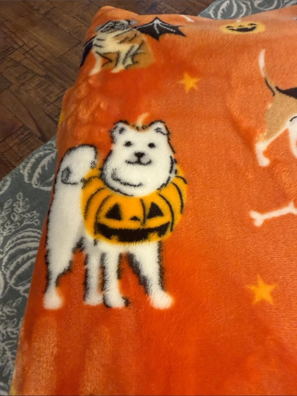Halloween Blanket Canines in Costume